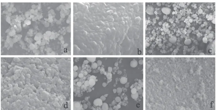 Figure 4 shows the release profile of melatonin from the Eudragit ®  S100-nanocapsule spray-dried powder and the dissolution of the pure drug
