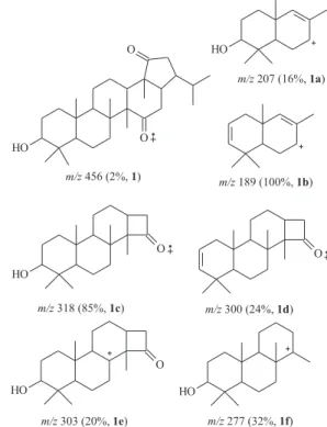 Figure 4. Principal fragments observed in MS spectra of 1.
