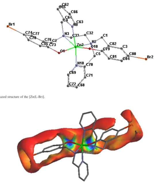 Figure S2. Electrostatic potential surface for [Zn(L-Br)].