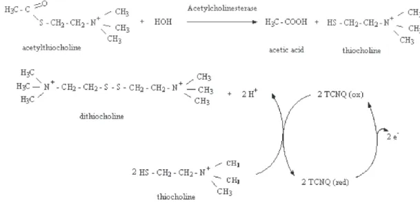 Figure 1. Scheme for the preparation of the sol-gel enzymatic paste.