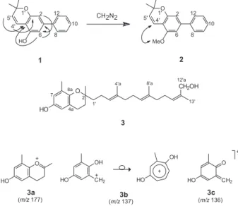 Figure 1. Structures of compounds 1 (showing selected COLOC cross peaks), 2 (showing nOe between H-4’ and OMe) and 3 (showing the main EIMS fragments, 3a, 3b and 3c).