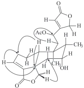 Figure 1. Key HMBC long-range correlations observed in the HMBC spectrum of 8.