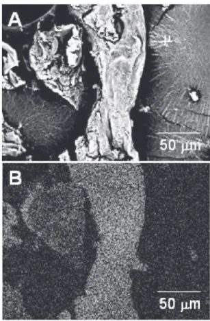 Figure 1. CA-TiO 2  micrographs. (A) SEM image; (B) EDS image.