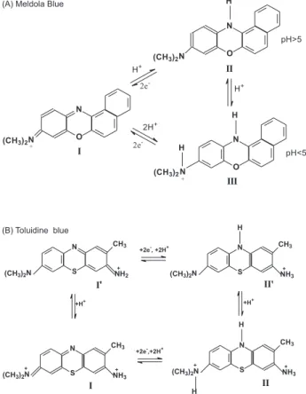 Figure 3. Cyclic voltammograms for: (A) CA-TiO 2  and (B) CA-TiO 2 - -MB, in scan rate at 10.0 mV s -1 , pH 7.0 and 1.0 mol L -1  KCl solution.
