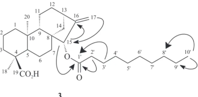 Figure 2. Selected HMBC correlations for compound 3.