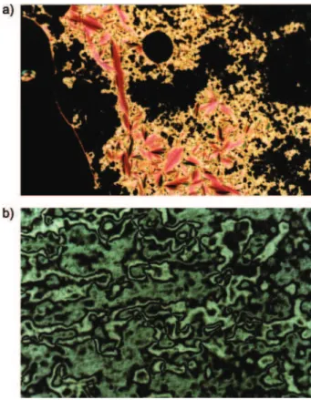 Figure 2. Polarizing optical micrographs displayed by monomer 11. (a) focal-conic fan texture and homeotropic texture of the smectic A* phase obtained after cooling from isotropic melt to 115 °C (10x); (b) Schlieren texture of the smectic C* phase at 72 °C
