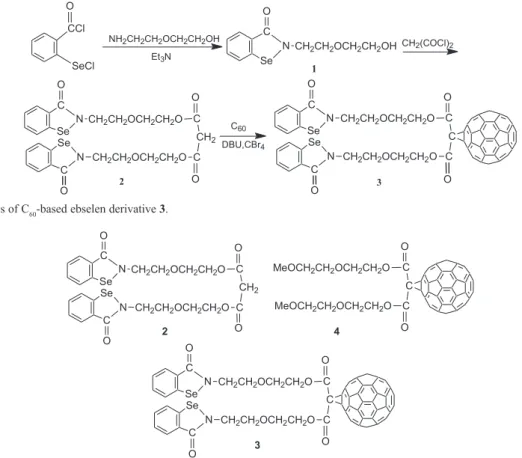 Figure 1. C 60  derivative 4, ebselen derivative 2 and C 60 -based ebselen derivative 3 used in this study.