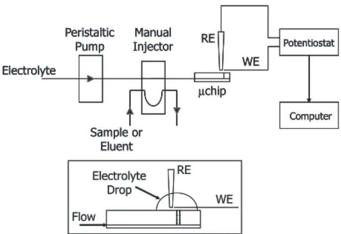 Figure 2 shows the experimental setup for the micro- micro-flow injection analysis (µFIA) experiments