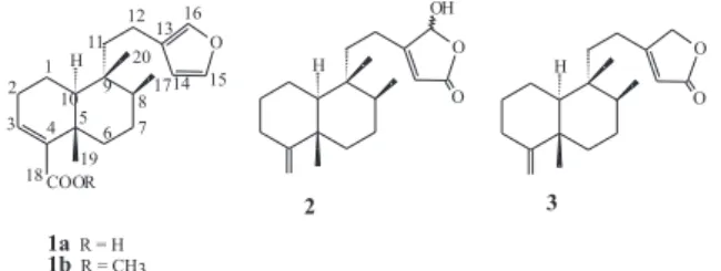 Figure 1. Structures of (+)-hardwickiic acid (1) and butenolides 2 and 3.