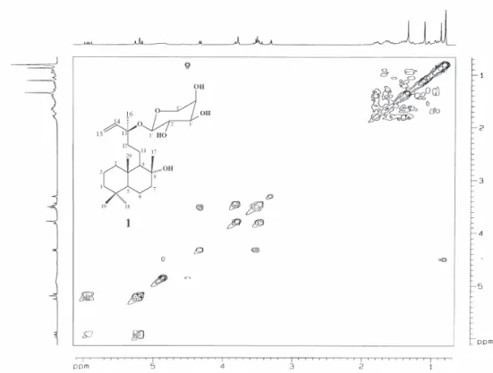 Figure S5. NOESY NMR spectrum (300 MHz, MeOD) of 1 (8α-hydroxylabd-14(15)-ene-13(S)-O-β-D-ribopyranoside).