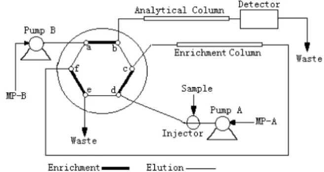 Figure 1. On-line enrichment system using the valve-switching technique Pump A, Waters 15 Pump