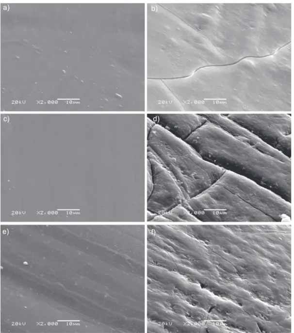 Figure 7. Scanning electron photomicrographs: polycarbonate (a) before and (b) after 3360 h of aging, polycarbonate containing anthraquinone dye (c) before and (d) after 3360 h of photochemical aging, polycarbonate containing bismuth vanadate (e) before an