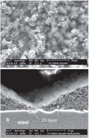 Figure 3. SEM micrographs showing the surface (a) and cross section (b) morphologies of the Zn coating after the end of immersion tests in 0.1 mol dm -3  NaCl aqueous solution.