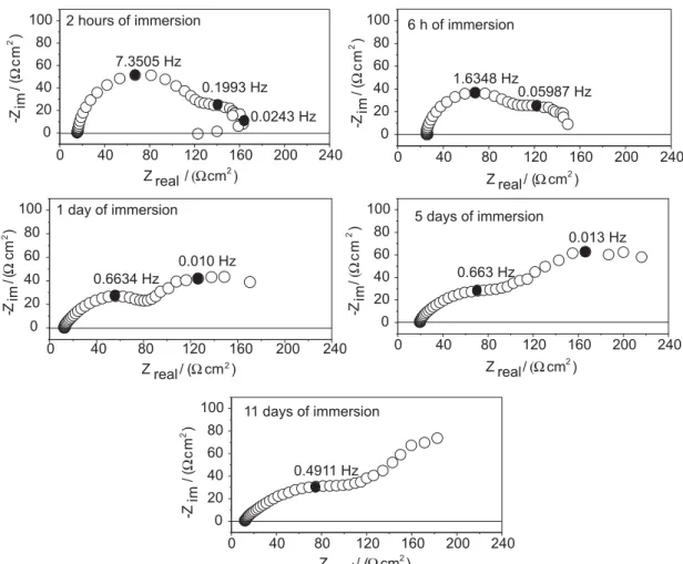 Figure 9. Evolution of the impedance diagrams with immersion time of Zn electrogalvanized samples immersed in 0.1 mol dm -3  NaCl aqueous solution at room temperature