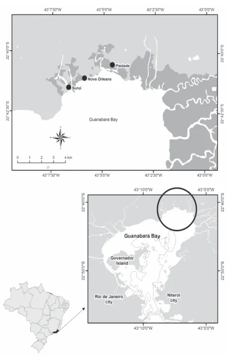 Figure 1. Map of Guanabara Bay showing the mangrove areas of Surui, Nova Orleans and Piedade.