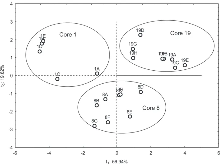Figure 2. Principal component analysis diagram for the total metal concentrations, AVS, SEM and C org  of the sediment cores in the Sergipe River Estuary.