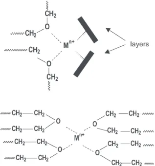 Figure 5. Schematic representations of PDMS-PEO intercalation models in montmorillonite clay