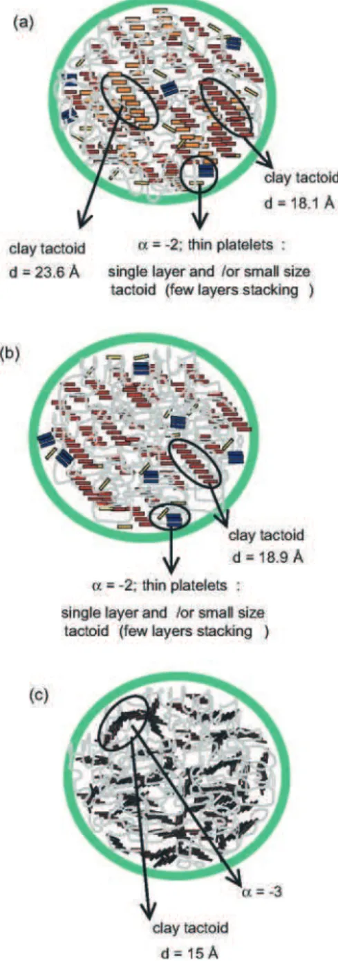 Figure 6. Simplified morphologies for the MMT slurries: (a) MMT/
