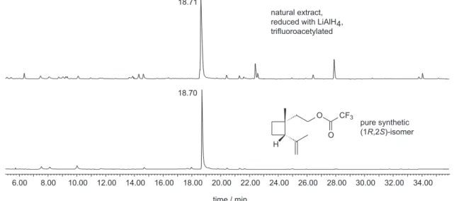 Figure 4. GC of reduced trifluoroacetylated natural extract and trifluoroacetylated (1R,2S)-(+)-grandisol.