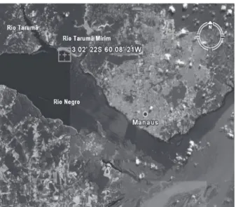 Figure 1. Map showing the sampling location site. The collection points are situated on the left-hand bank of the Negro River, between of the Tarumã River (T) and of the Tarumã Mirim River (TM).