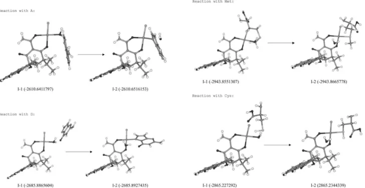 Figure S1. B3LYP/6-31G(d)/LanL2DZ optimized geometries for the intermediates (I-1 and I-2) involved in the reaction path for formation of [Pt(AHTC) Cl(Nu)] +  complexes, where Nu stands by  A, G, Met and Cys, respectively