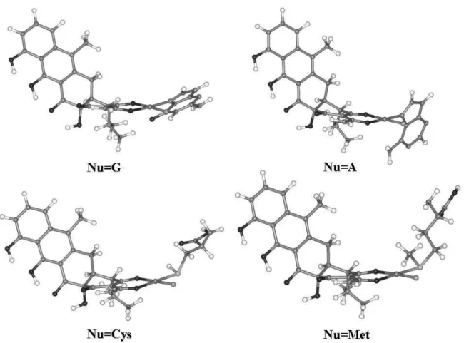 Figure 1. B3LYP/6-31G(d)/LanL2DZ optimized geometries for the complexes [Pt(AHTC)Cl(Nu)] +  with Nu = G, A, Cys and Met, indicated in the figure