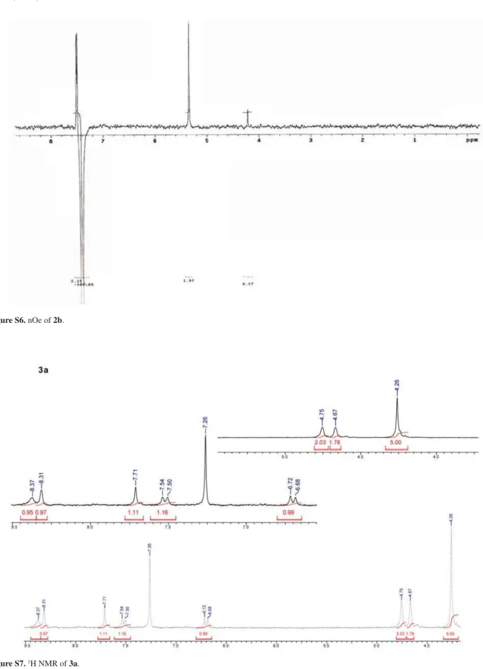 Figure S6. nOe of 2b.
