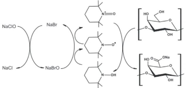 Figure 1. Schematic representation of TEMPO oxidation process of ga- ga-lactan.