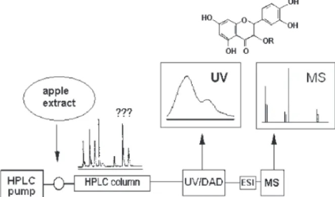 Figure S1. Schematic representation of the experimental setup used for LC/UV/MS analysis.