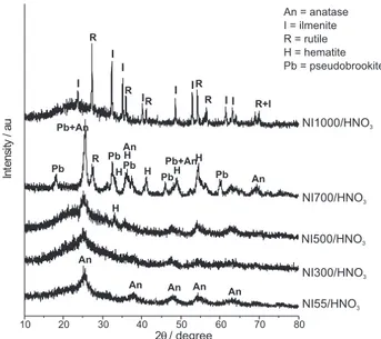 Figure 2. Powder X-ray diffractograms for IN55-1000/HNO 3 .