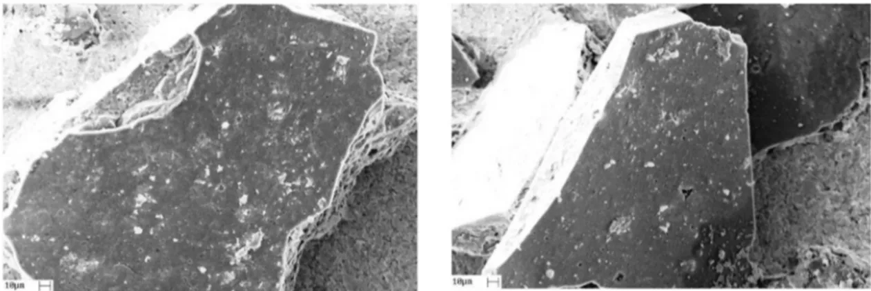 Figure 7. SEM micrographs for IN700/HNO 3 , showing the porous nature of representative grains.