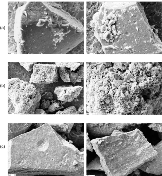 Figure 8. SEM micrographs for representative grains of (a) IN1000/HNO 3 , (b) IN1000/HCl and (c) IN1000/NC.