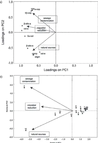 Figure 3. Factor loadings (a) and factor scores (b) of the PCA analysis of the sterols and ketones in surface sediments from the Patos Lagoon.