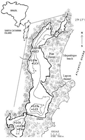 Figure 1. Sample locations of the surface sediment samples (0-5 cm) and  the core (75 cm depth) taken from Conceição Lagoon, Santa Catarina  Island