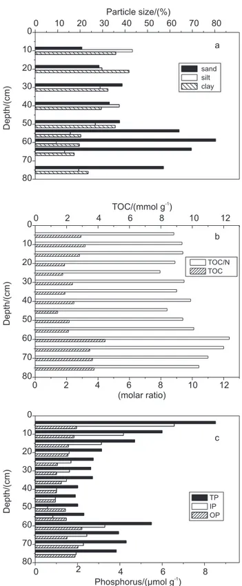 Figure  3.  Histograms  with  the  depth  profiles  of  the  particle  size  composition  (a),  TOC  and  molar  TOC/N  ratio  (b),  and  phosphorus   (total – TP, inorganic – IP, and organic – OP) (c) in the sediment core  taken from Conceição Lagoon (cor