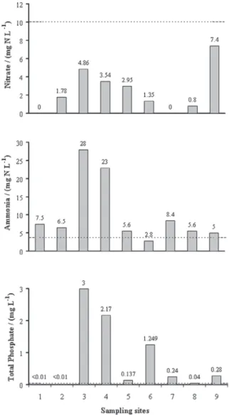 Figure 3. Total phosphate, total ammonia nitrogen and nitrate concentra- concentra-tions in the water samples from the São Bartolomeu Stream (samples 1-4), Turvo Sujo River (samples 5-6) and Turvo Limpo River (samples 7-9); – – – lines mean the values of t