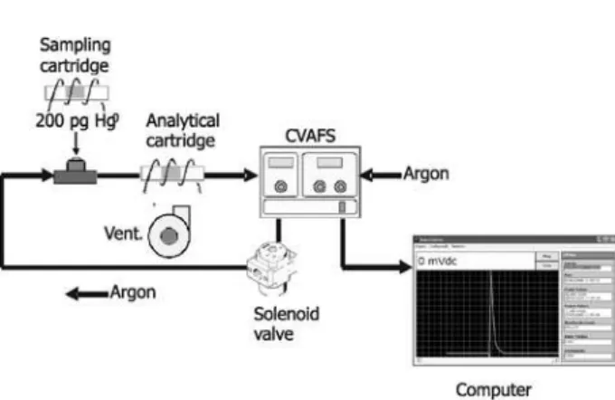 Figure 1. Calibration and analytical systems used in the present study.