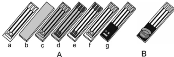 Figure 1. Schematic illustration of the microcell construction in a three  coplanar electrode configuration