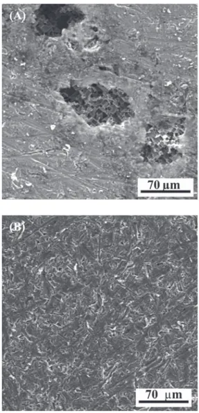 Figure 3. SEM micrograph of oxide films formed galvanostatically at 2.5 mA cm -2  on aluminum exposed at tartaric acid aqueous solutions:
