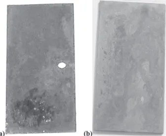 Figure 9. Copper MSs after approximately a year of exposition to natu- natu-ral weathering, (a) ACS 1–C2 MS, higher aggressiveness; (b) ACS 13–C26 MS, lower aggressiveness.