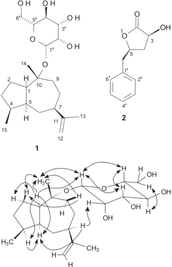 Figure 1. NOESY and nOe correlations for compound 1. Arrows with only  one head represent correlations confirmed by nOe experiments.