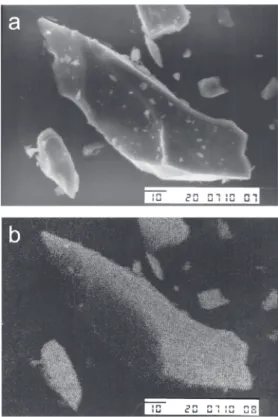 Figure 1a shows the SEM image of a SZPA particle, and Figure 1b shows the corresponding EDS image