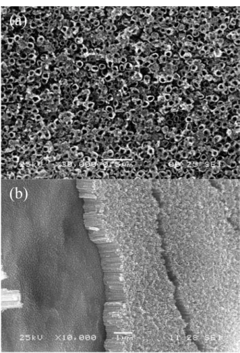Figure 1 shows the top- (a) and cross-view (b) of the  porous structure of the sample anodized at 20 V for 2 h