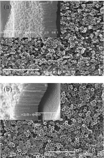 Figure 5a gives the X-ray diffraction (XRD) patterns  of the TONT arrays heat-treated at different temperatures  for 2 h in dry ambient atmosphere