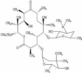 Figure 1. Erythromycin A structure.