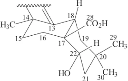 Figure 3. 3D visualization of rings D and E of the hydroxylated saponin 2.