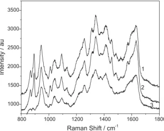 Figure 4. Raman spectra obtained at different points of a blend A formed  by polypyrrole inside polyacrilamide matrix ( pore size 0.52 nm)