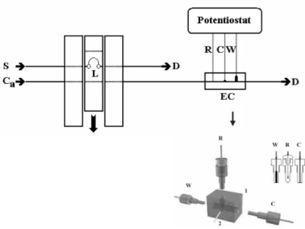 Figure 1. Scheme of the flow injection system with electrochemical  detection used for the determination of APAP: S: sample, 5.00 x 10 -3  mol  L -1  APAP solution; Ca: carrier, universal buffer pH 8.0; D, waste; L, loop;