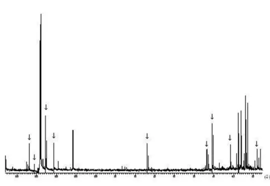 Figure S1. 13 C-NMR (75 MHz, C 6 D 6 ) of essential oil from leaves of L. ericoides with and without scent, which consist mainly of A-bisabolol (marked  signals).