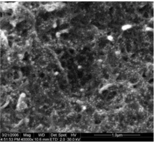 Figure 2 shows the EIS of various electrodes in 5 × 10 -3 mol L -1  Fe(CN) 6 3-/4-  solution